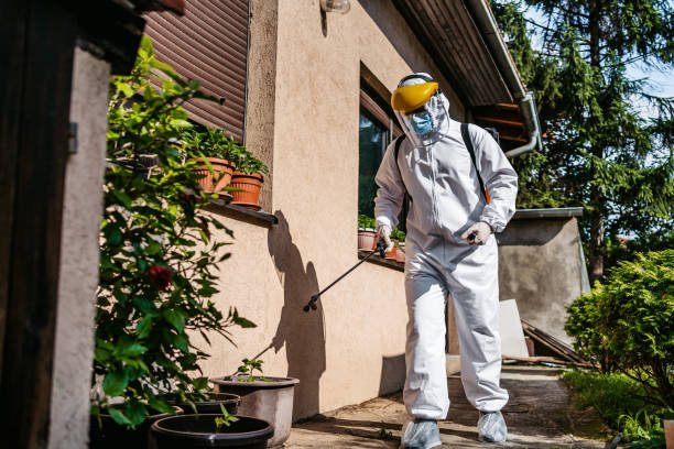 Best Pest Removal Services  in North Conway, NH