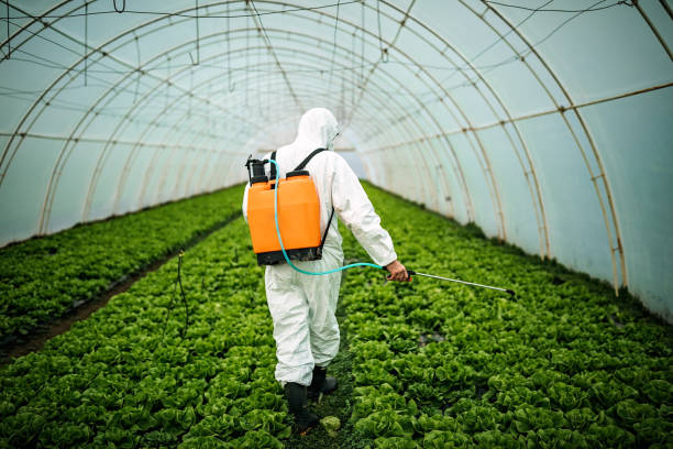 Best Local Pest Control Services  in North Conway, NH
