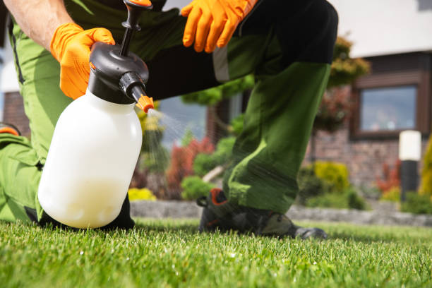 Best Affordable Pest Control Services  in North Conway, NH