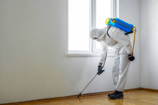 Best Pest Prevention Services  in North Conway, NH