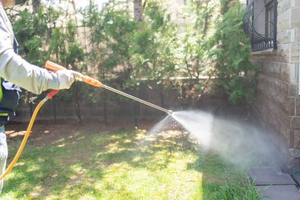 Best Wasp Removal Services  in North Conway, NH