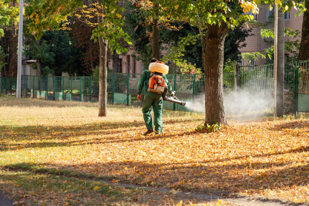 Best Commercial Pest Control Services  in North Conway, NH